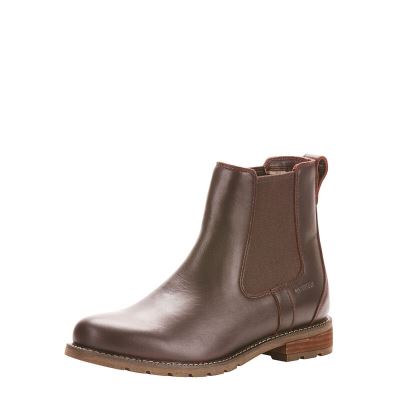 Ariat Wexford - Enkel Laarzen DonkerBruin Dames - 30252-076